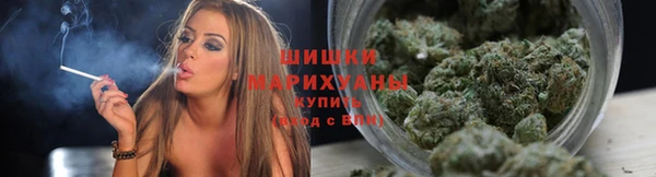 шишки Тутаев