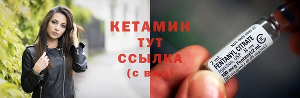 шишки Тутаев