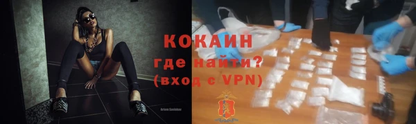 шишки Тутаев