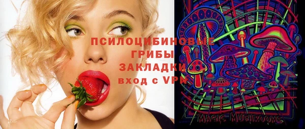 мет Тында