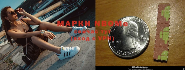 шишки Тутаев
