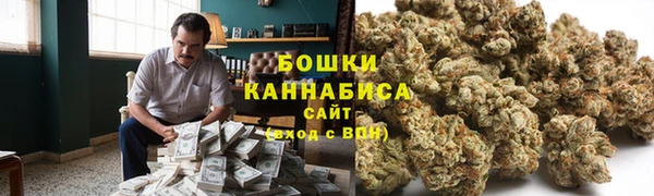 шишки Тутаев