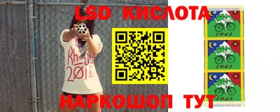 прущие грибы Гусиноозёрск