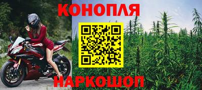 прущие грибы Гусиноозёрск