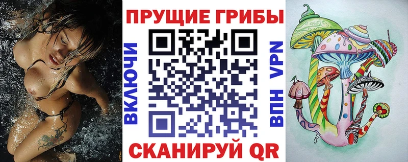 Галлюциногенные грибы MAGIC MUSHROOMS  купить наркотики цена  Черногорск 