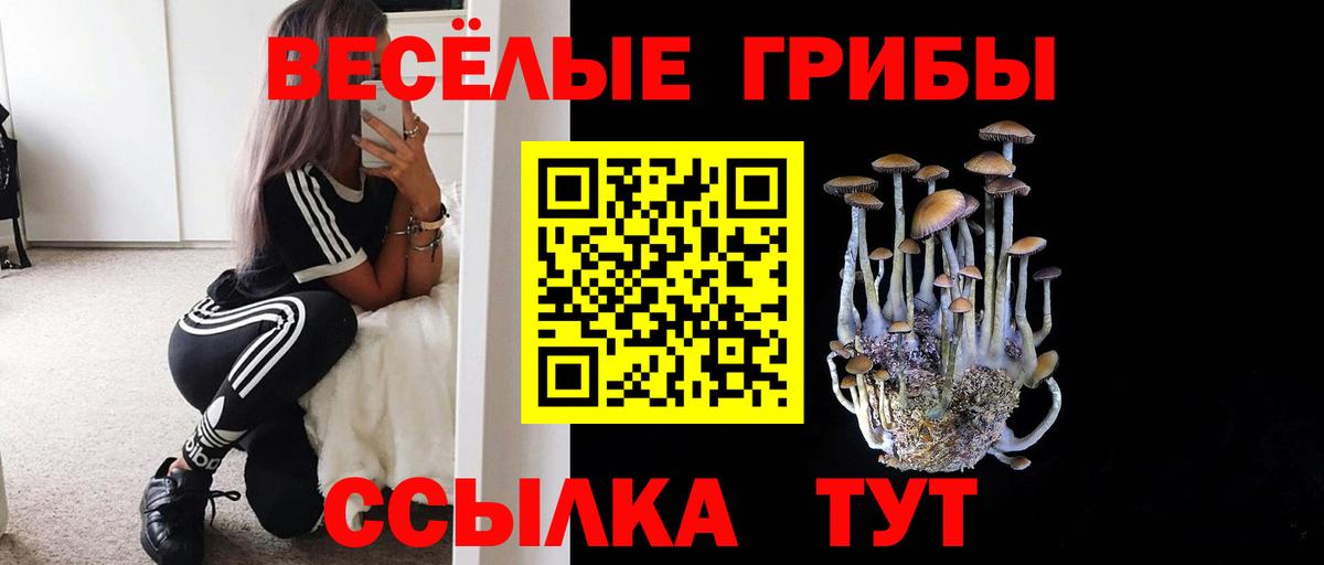Галлюциногенные грибы Psilocybine cubensis  Вход с VPN  Черногорск 
