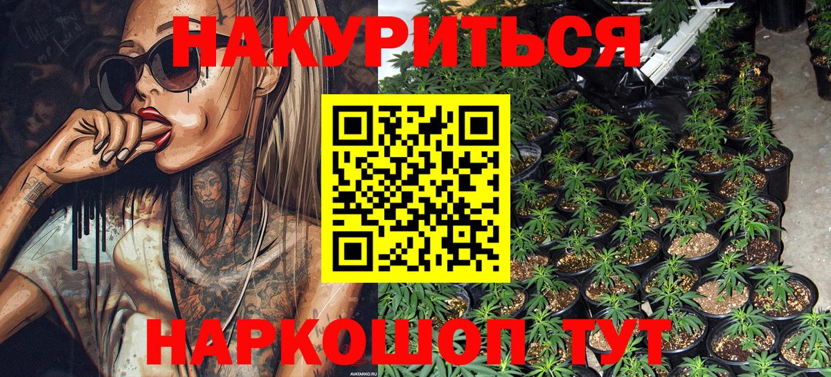 Конопля OG Kush  Черногорск  Канабис OG Kush 